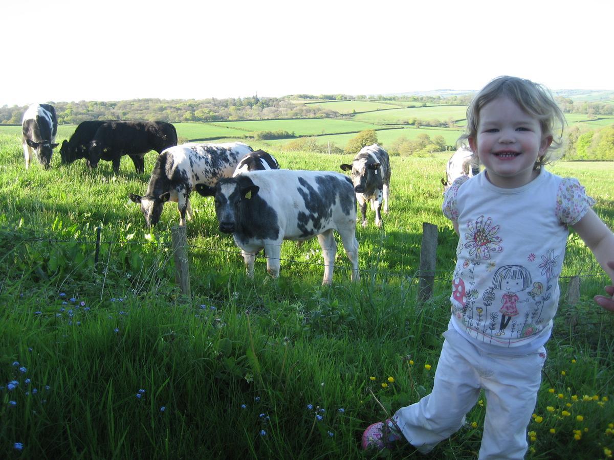 Three Gates Farm Holiday Cottages Huntsham Екстериор снимка